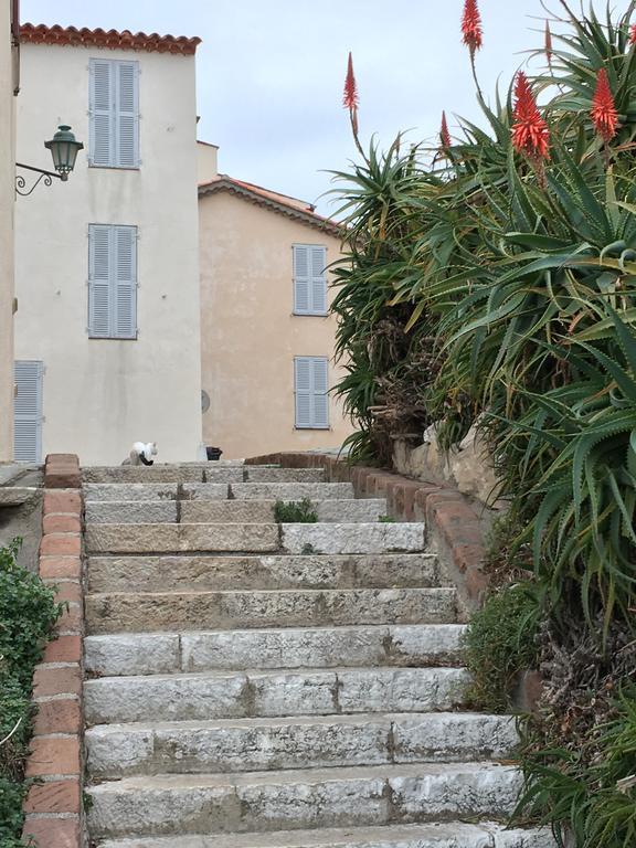 Villa Cap Antibes Les Bosquets Exterior foto